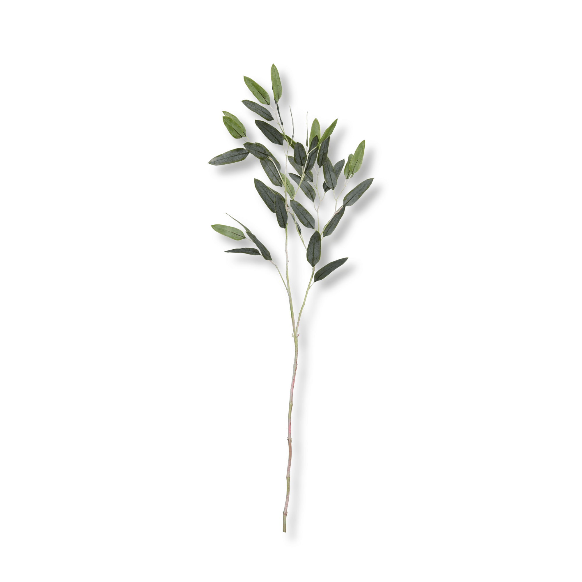 Artificial Leaves