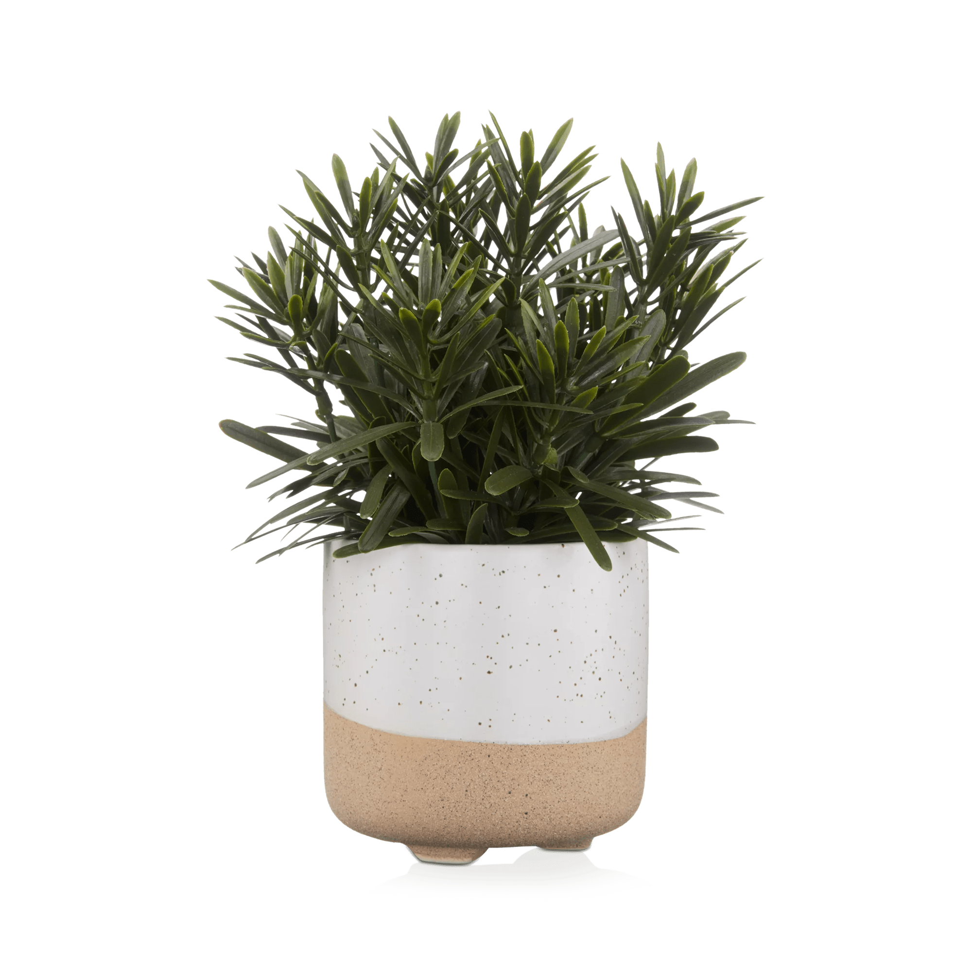 Plante artificielle dans un pot en céramique
