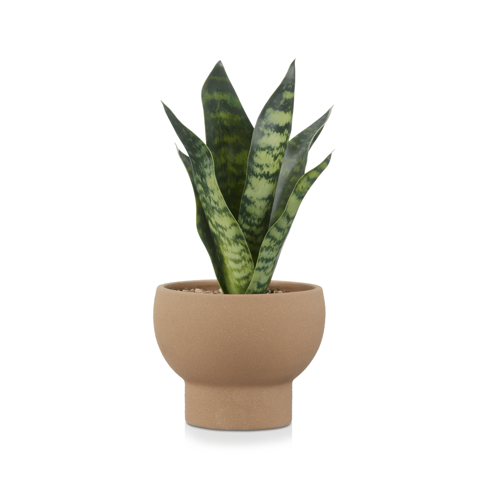 Plante artificielle en pot en céramique