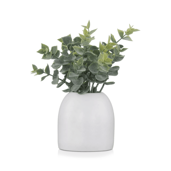 Artificial Eucalyptus in Ceramic Pot