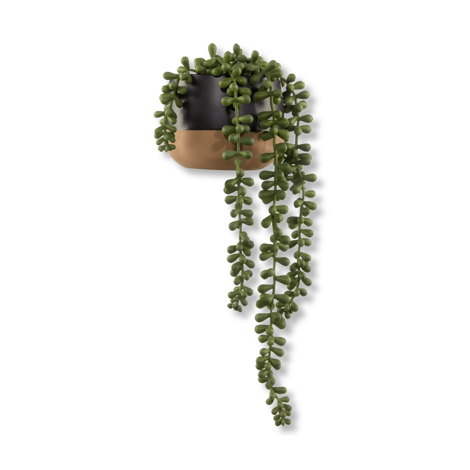 Plante retombante en pot en céramique