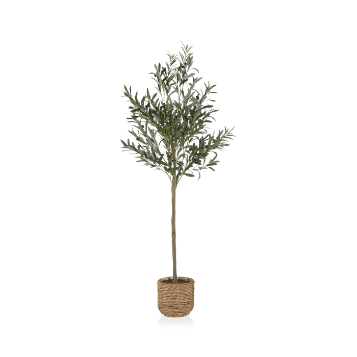 Artificial Olive Tree in Basket