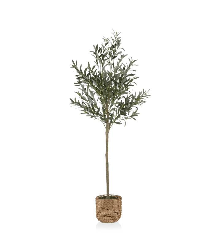 Artificial Olive Tree in Basket