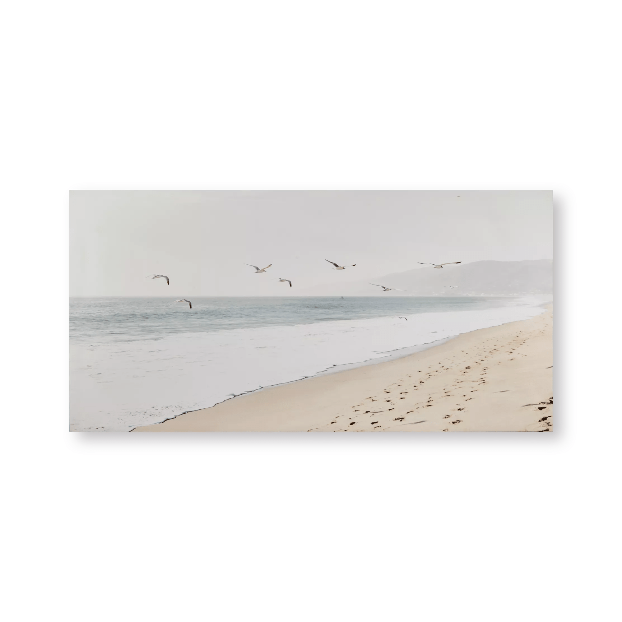 Birds on Summer Beach Printed Canvas