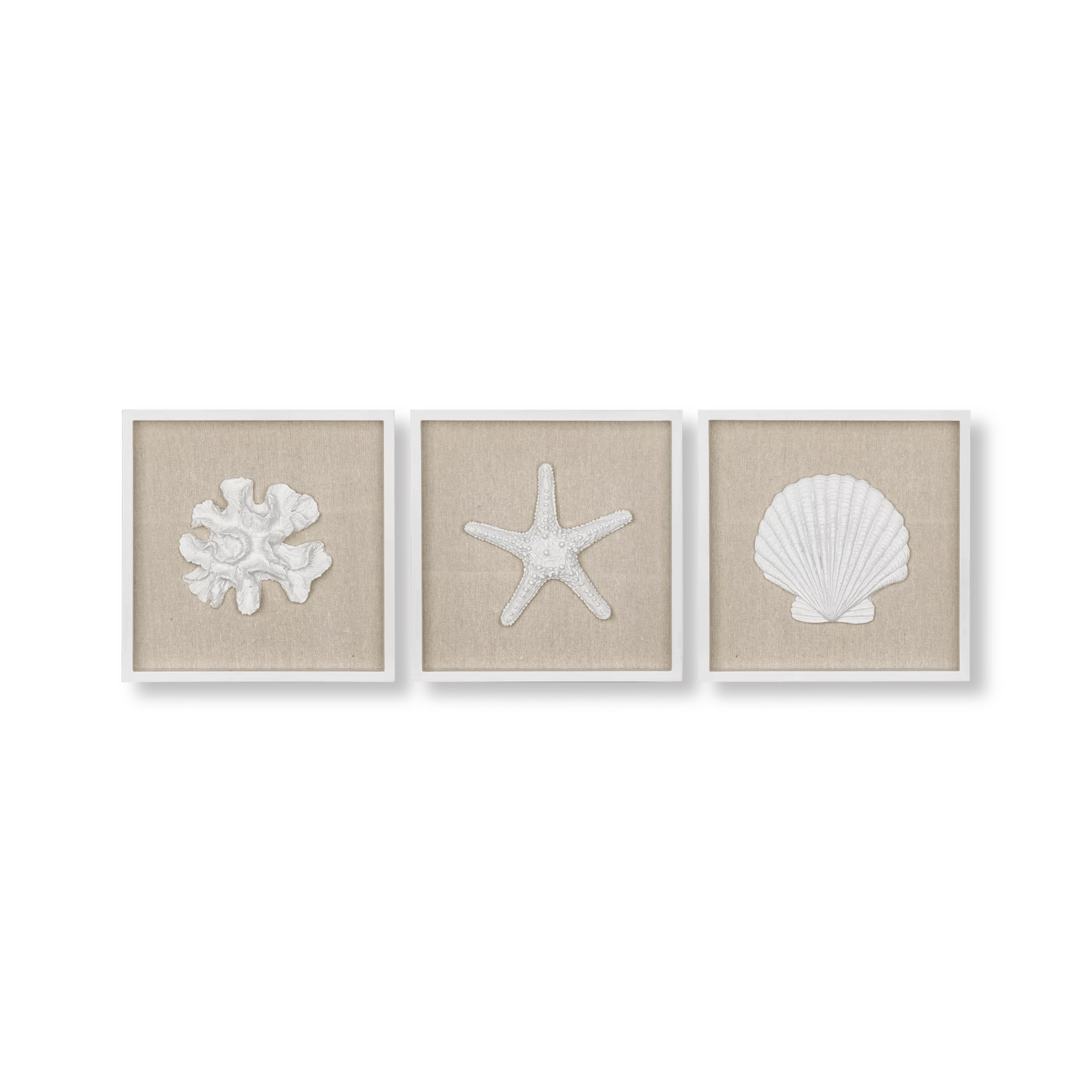 Set of 3 Seashells Framed Art