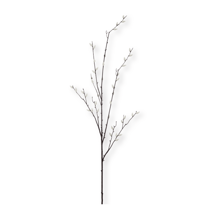 Branche de saule à fleurs