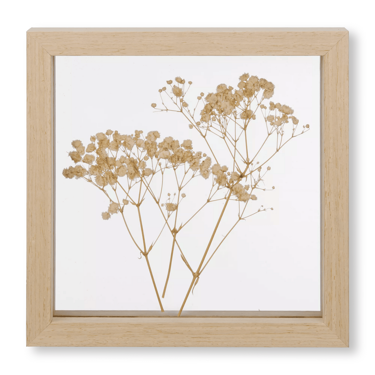 Stems Framed Art