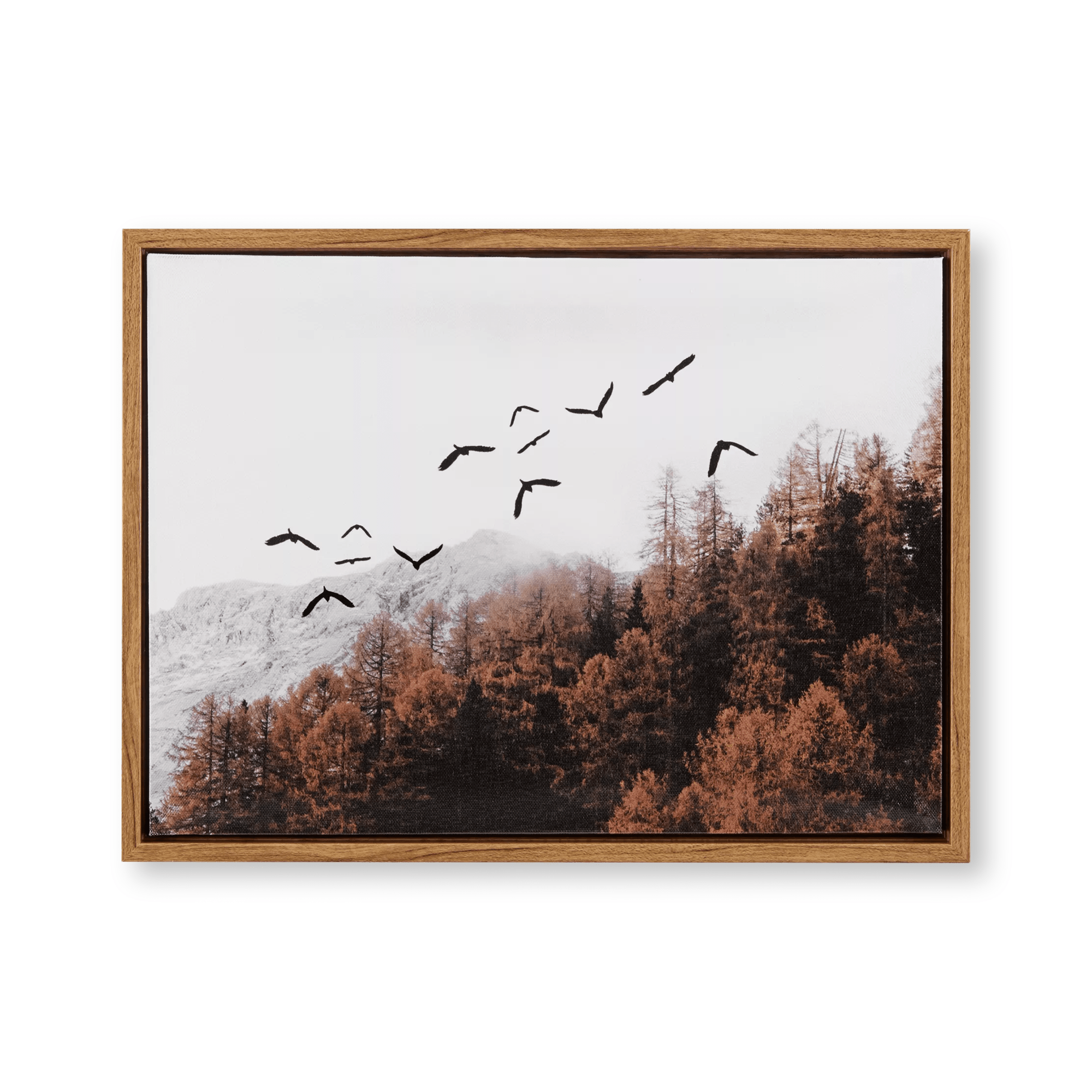 Birds Over Forest Framed Printed Canvas