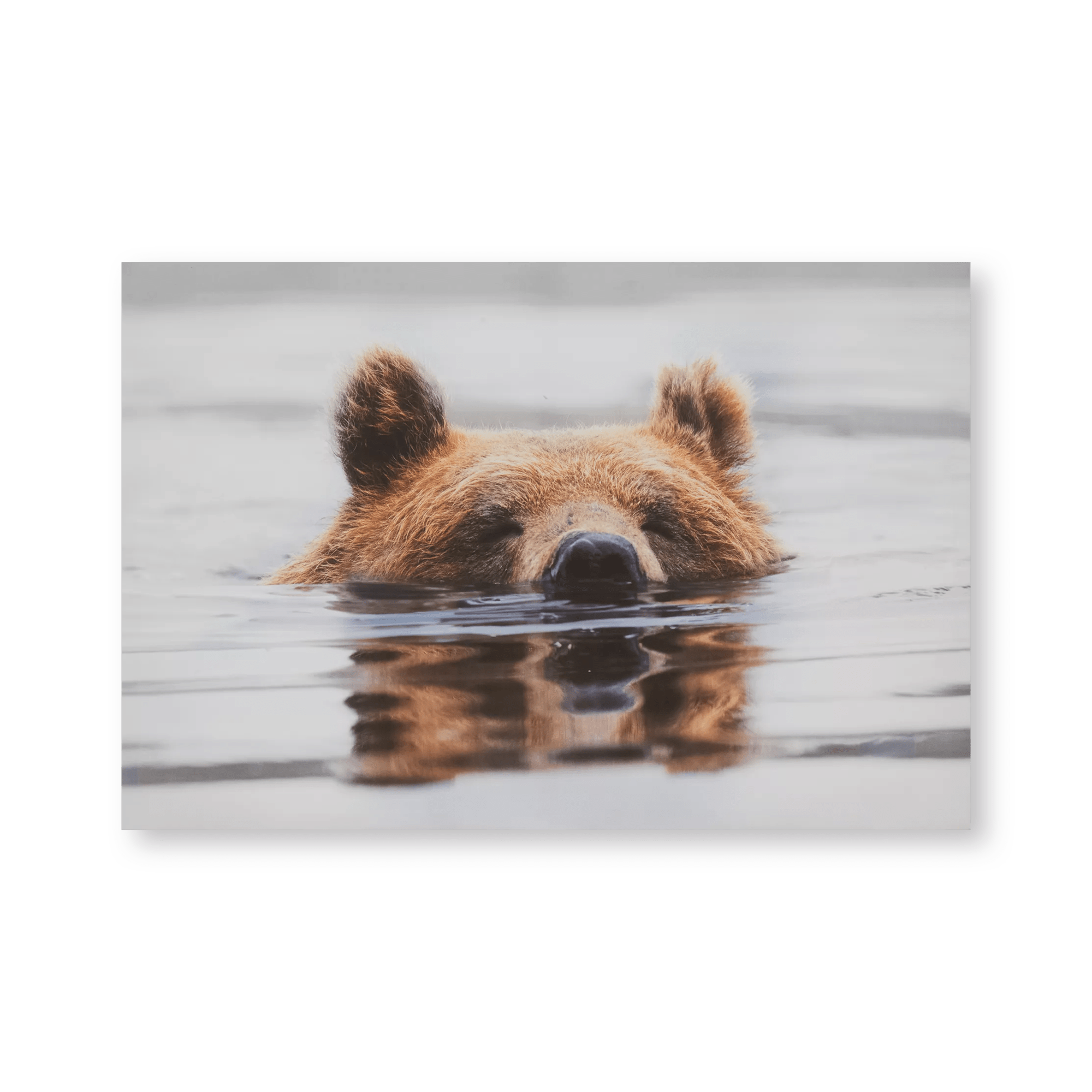 Tableau imprimé d'un ours nageant dans l'eau