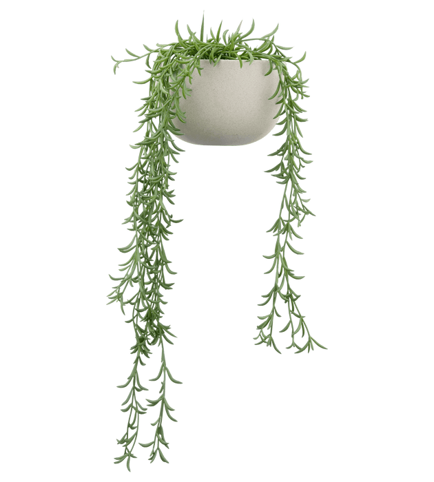 Hanging Vine in Ceramic Pot