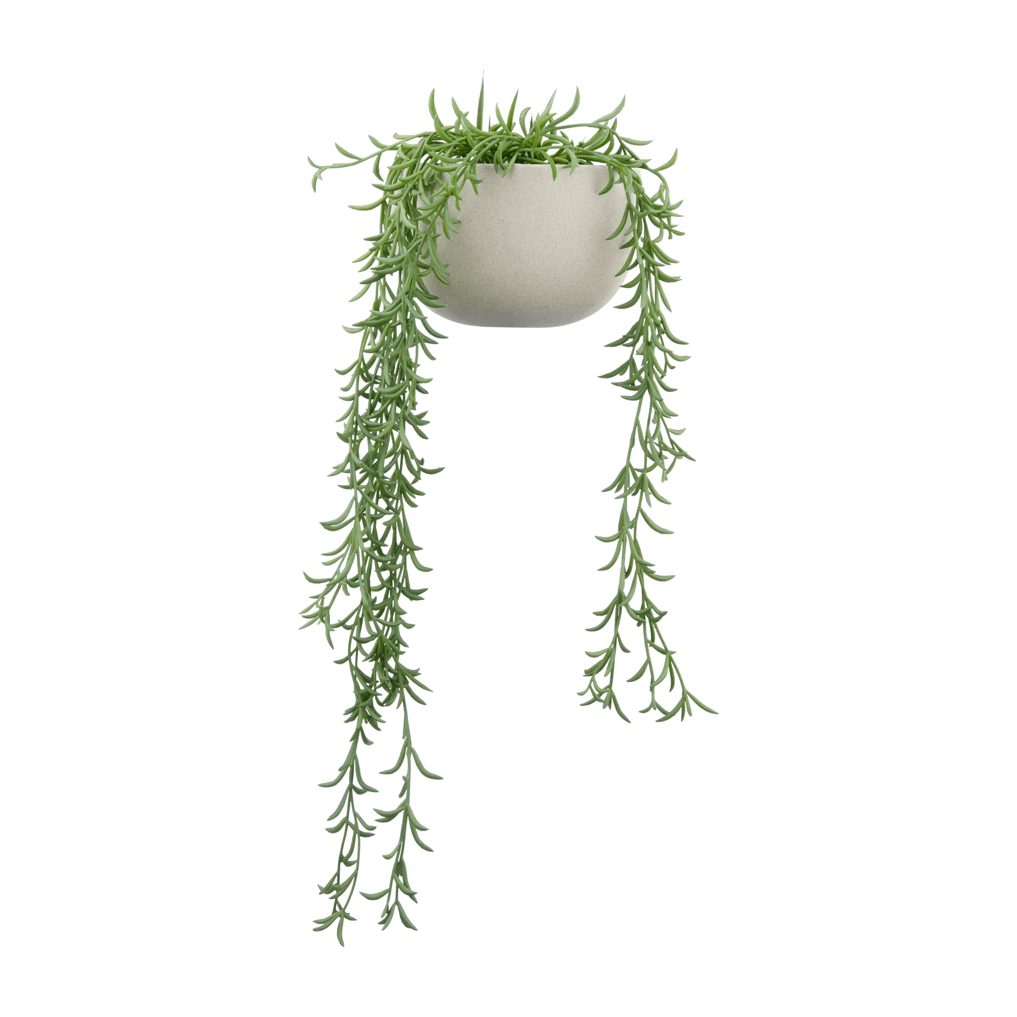 Vigne suspendue dans un pot en céramique