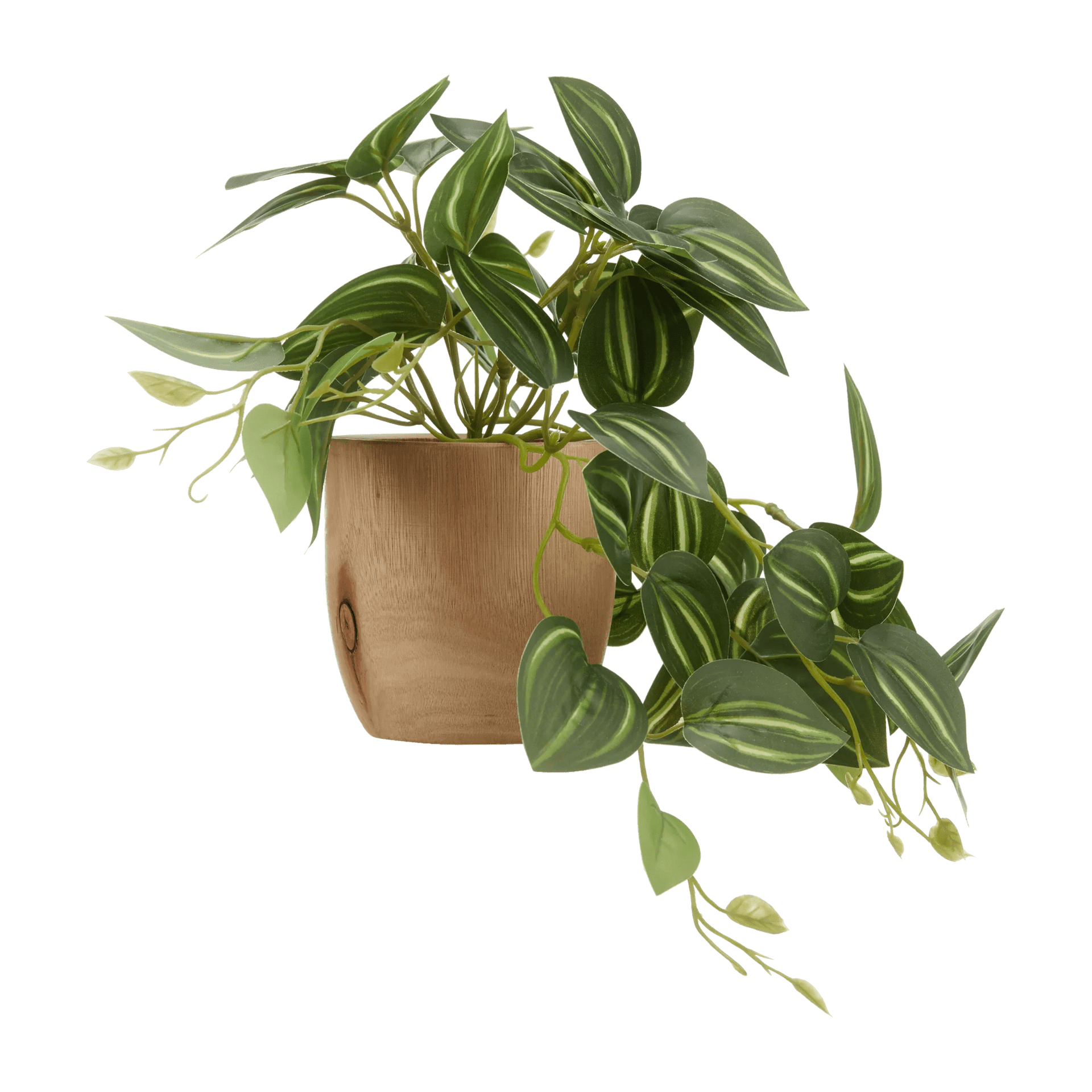 Artificial Fittonia in Wood Pot