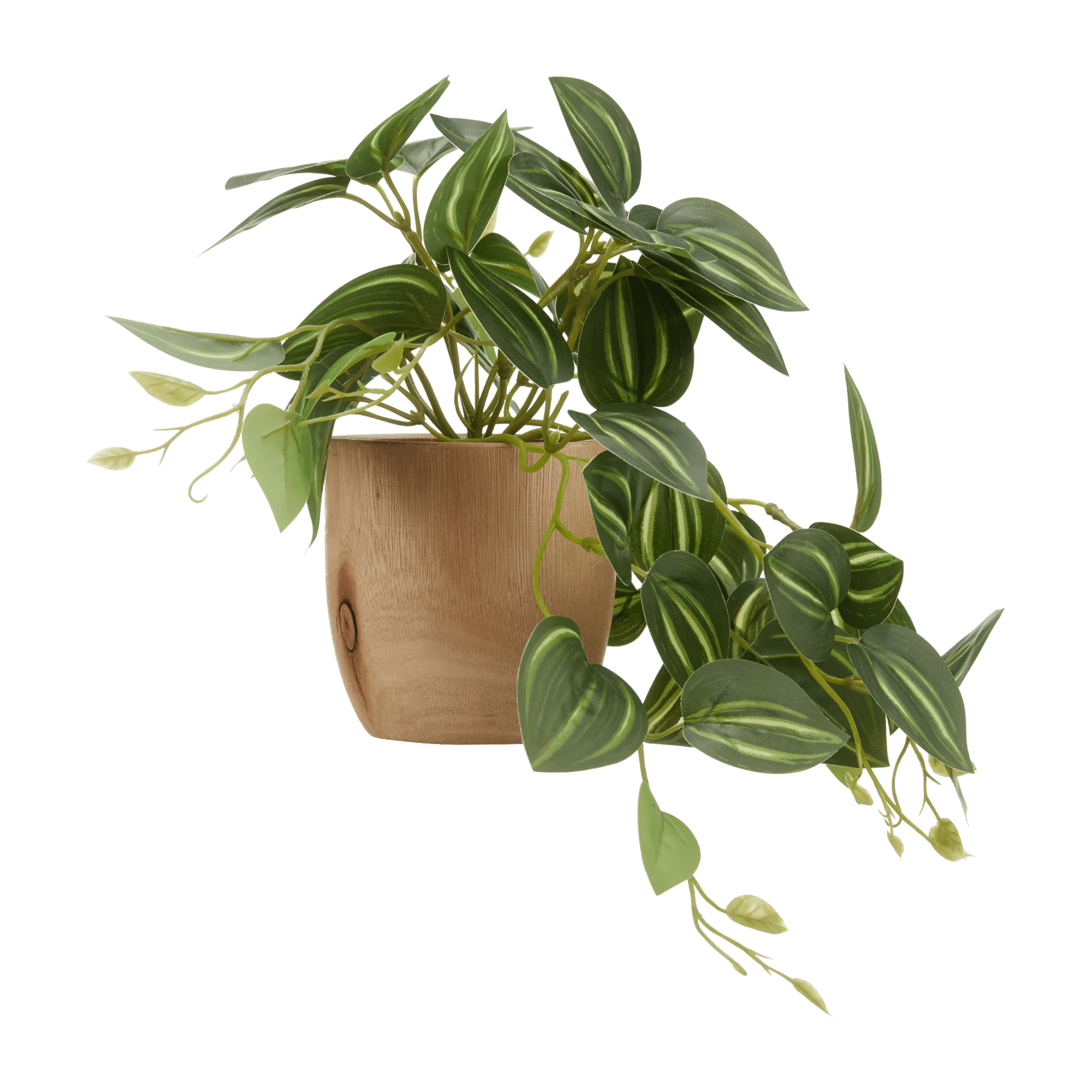 Fittonia artificiel en pot de bois