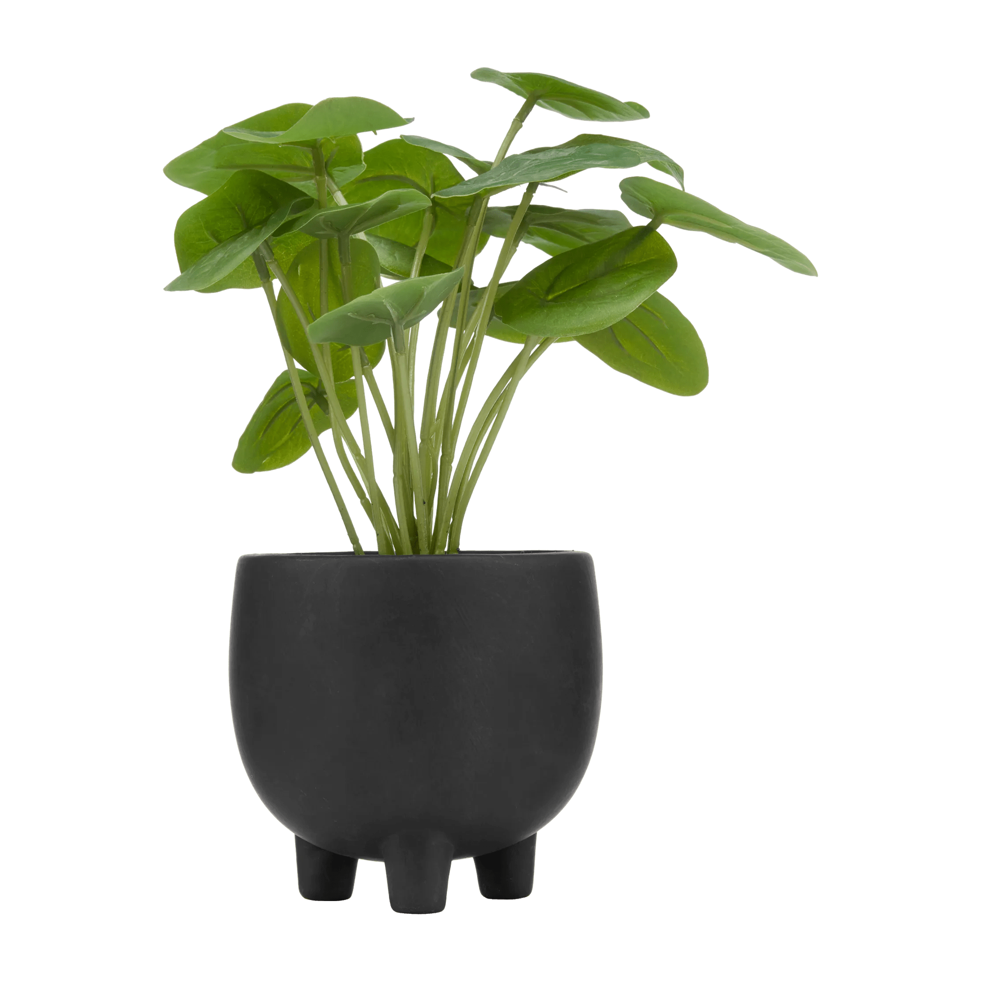 Pilea artificielle dans un pot en céramique