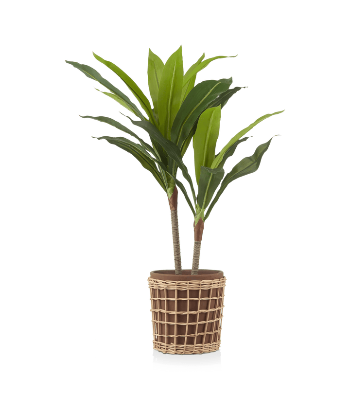 Dracaena artificiel dans un pot tressé