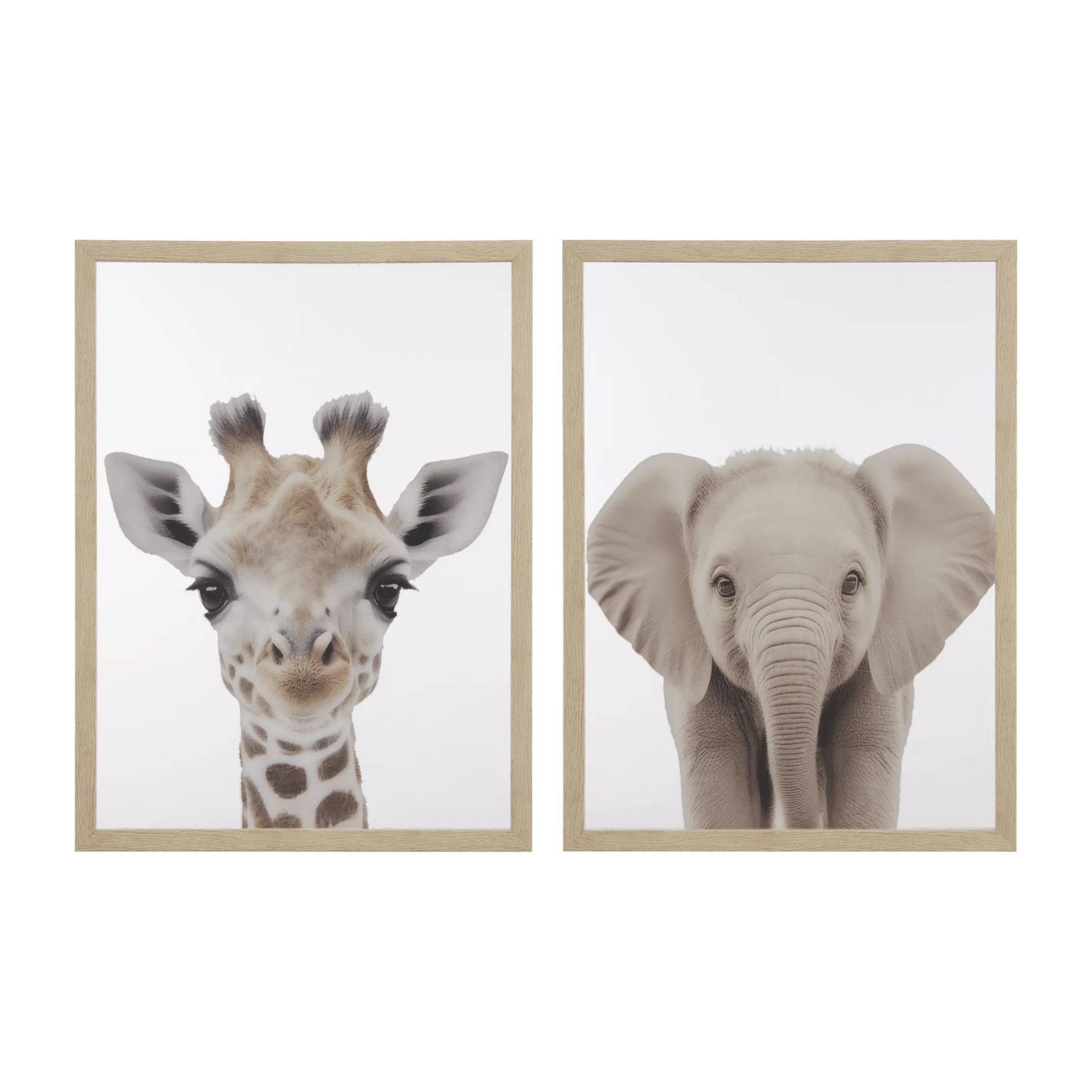 Ensemble de 2 Toiles Encadrées avec des Animaux
