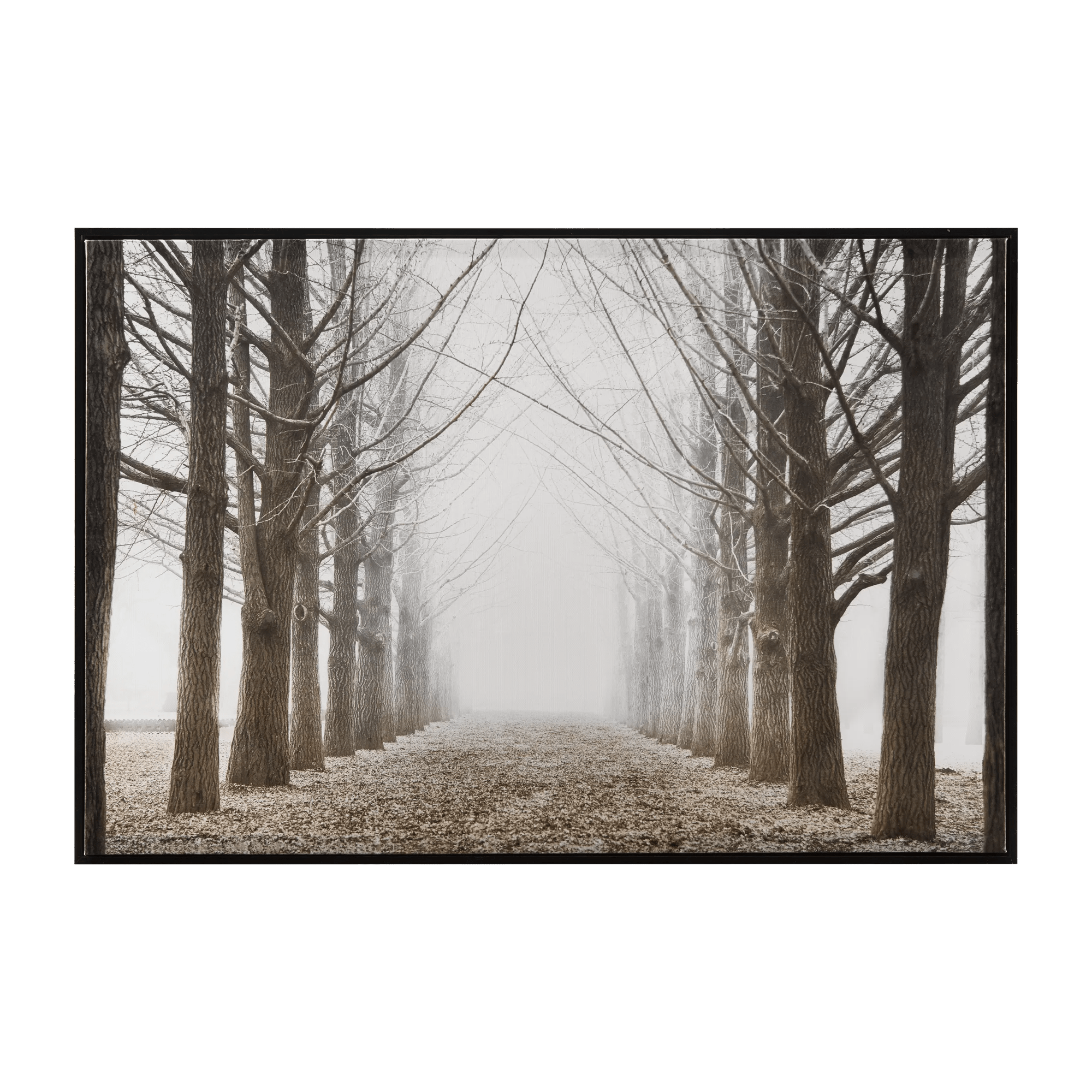Forest Framed Art