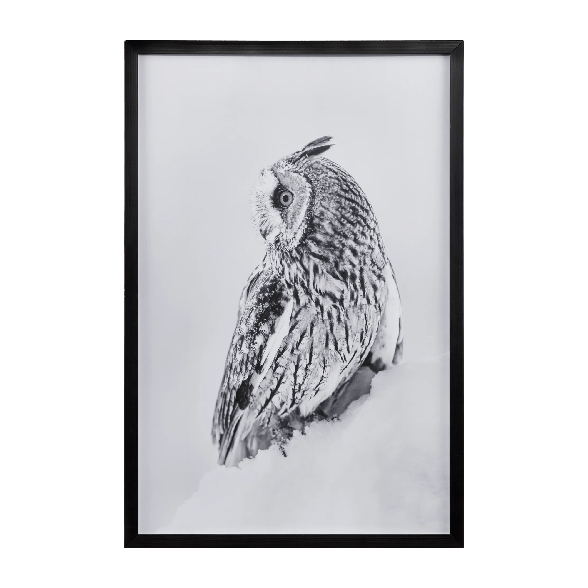 Cadre imprimé hibou d'hiver