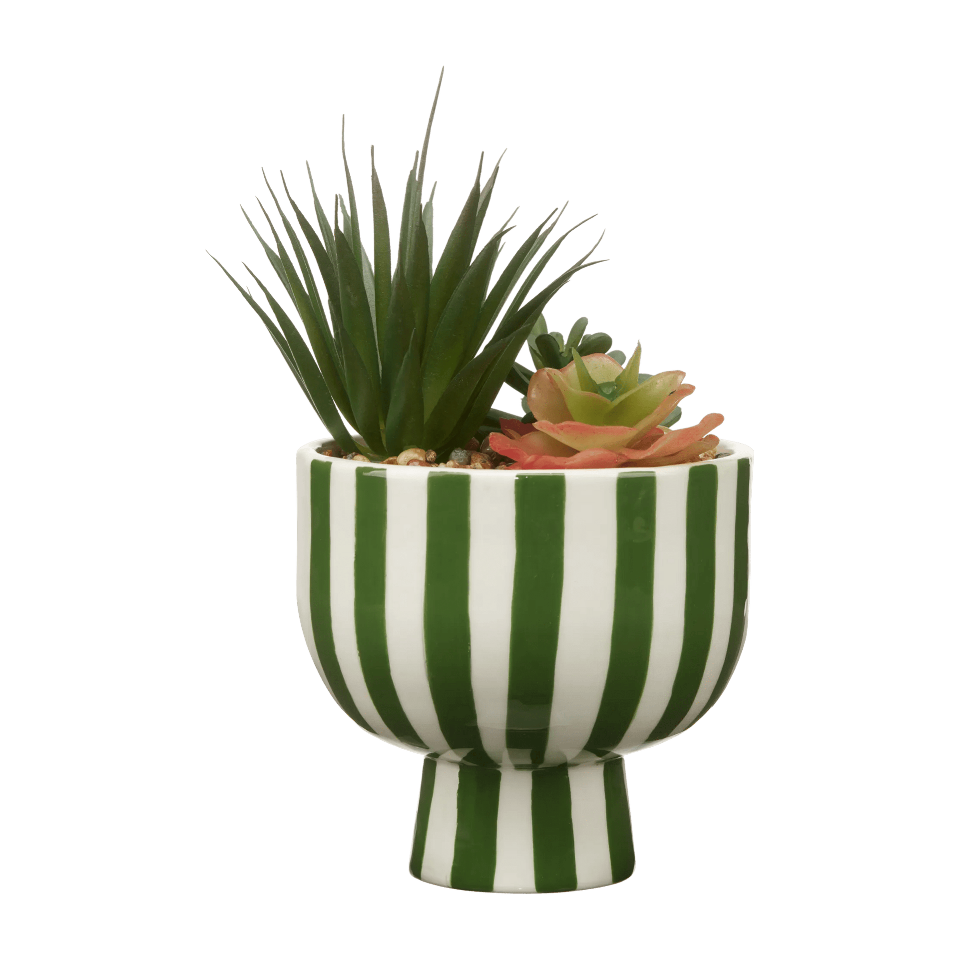 Succulent dans un pot en céramique rayée