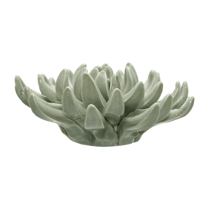 Ceramic Succulant