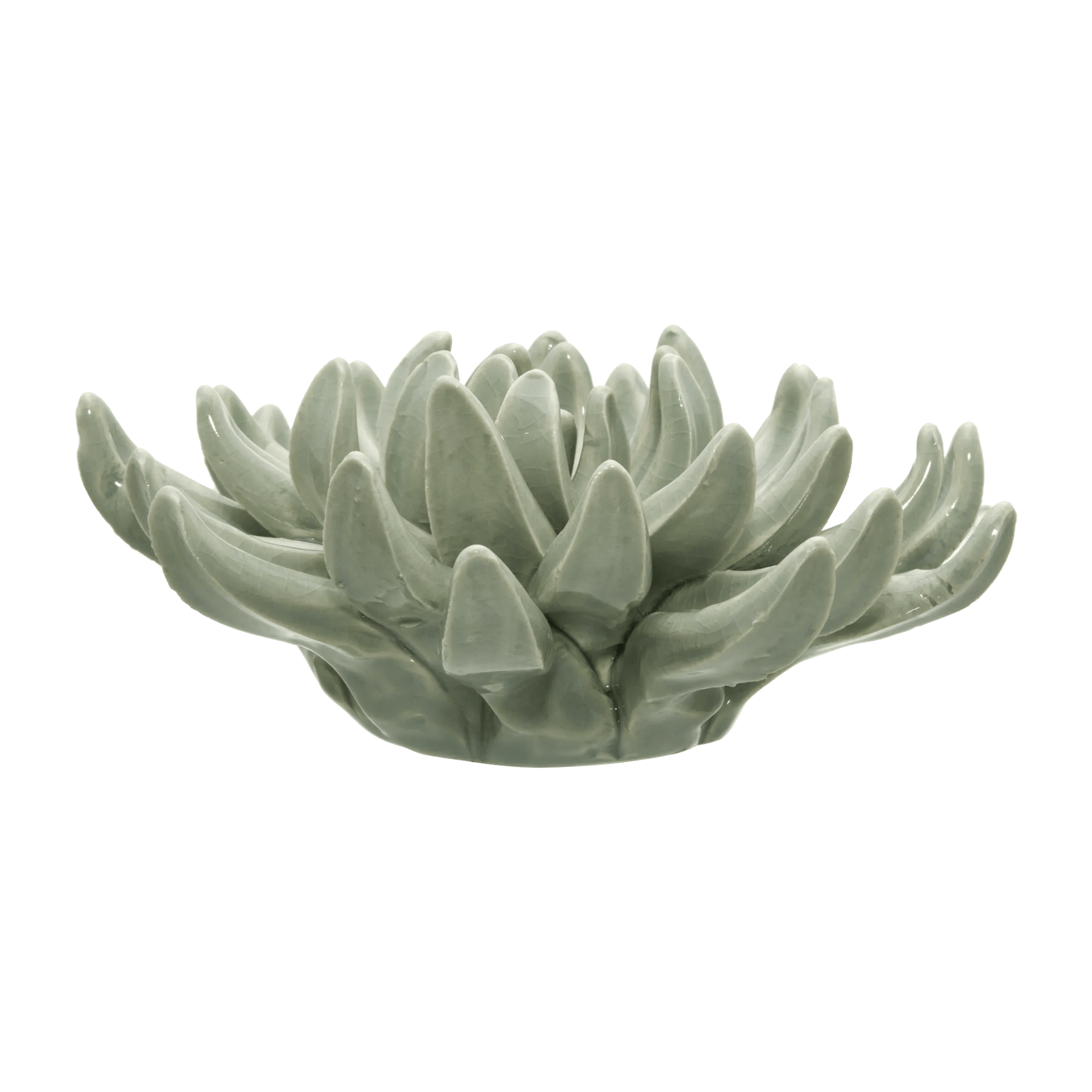 Ceramic Succulant