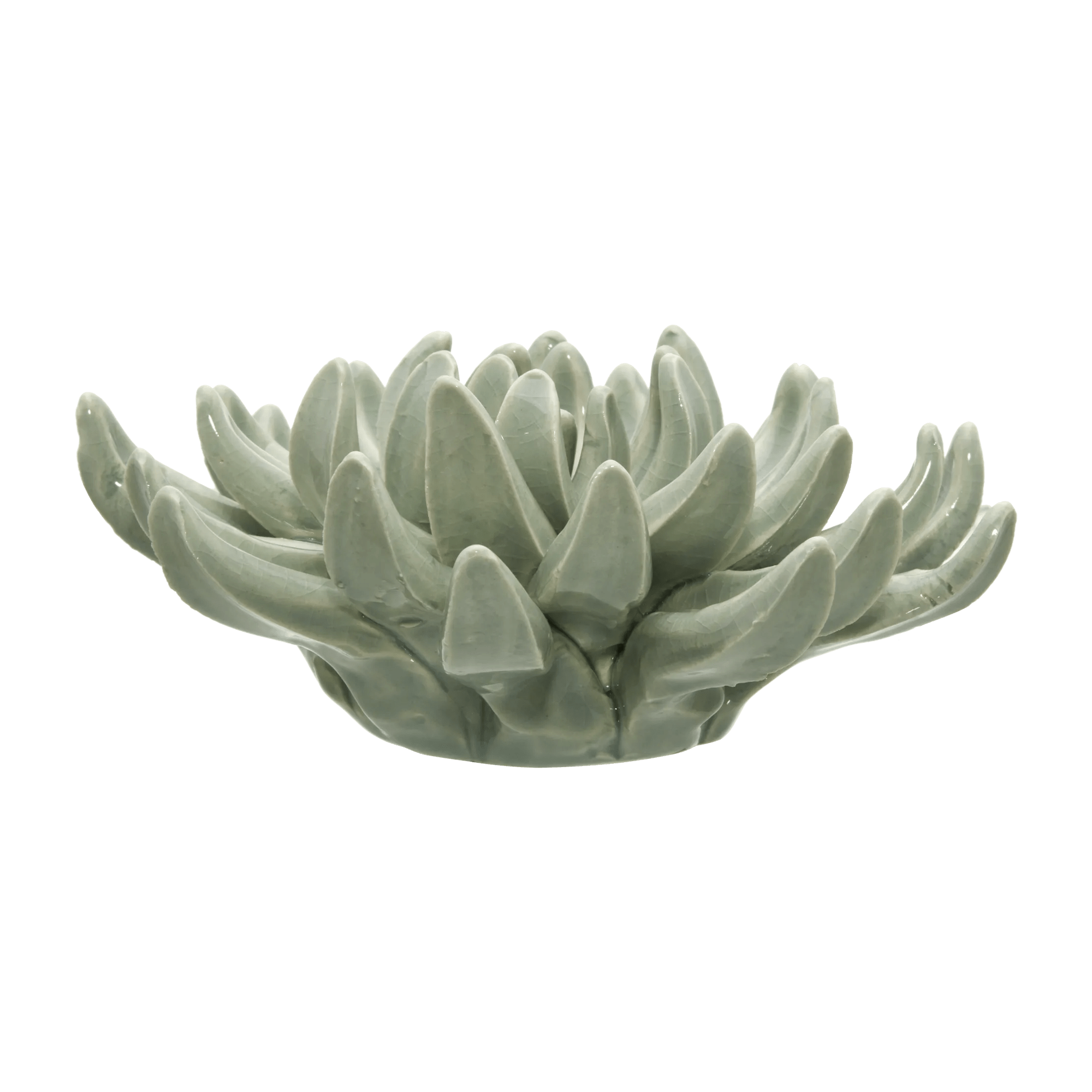 Succulant céramique
