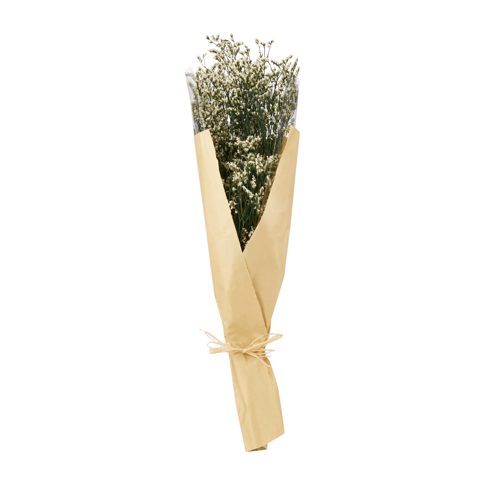 Bouquet de marguerites séchées