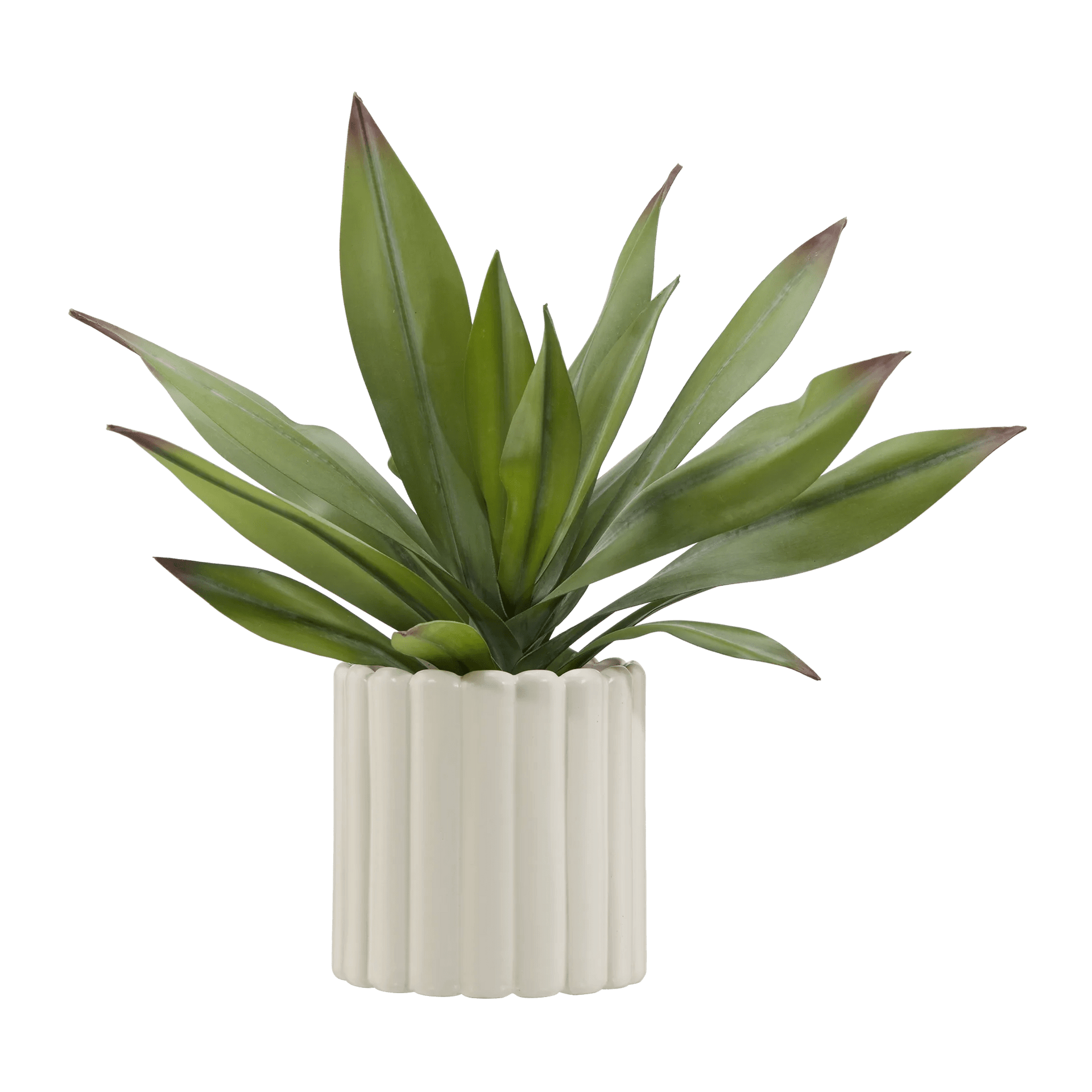 Plante d'agave artificielle