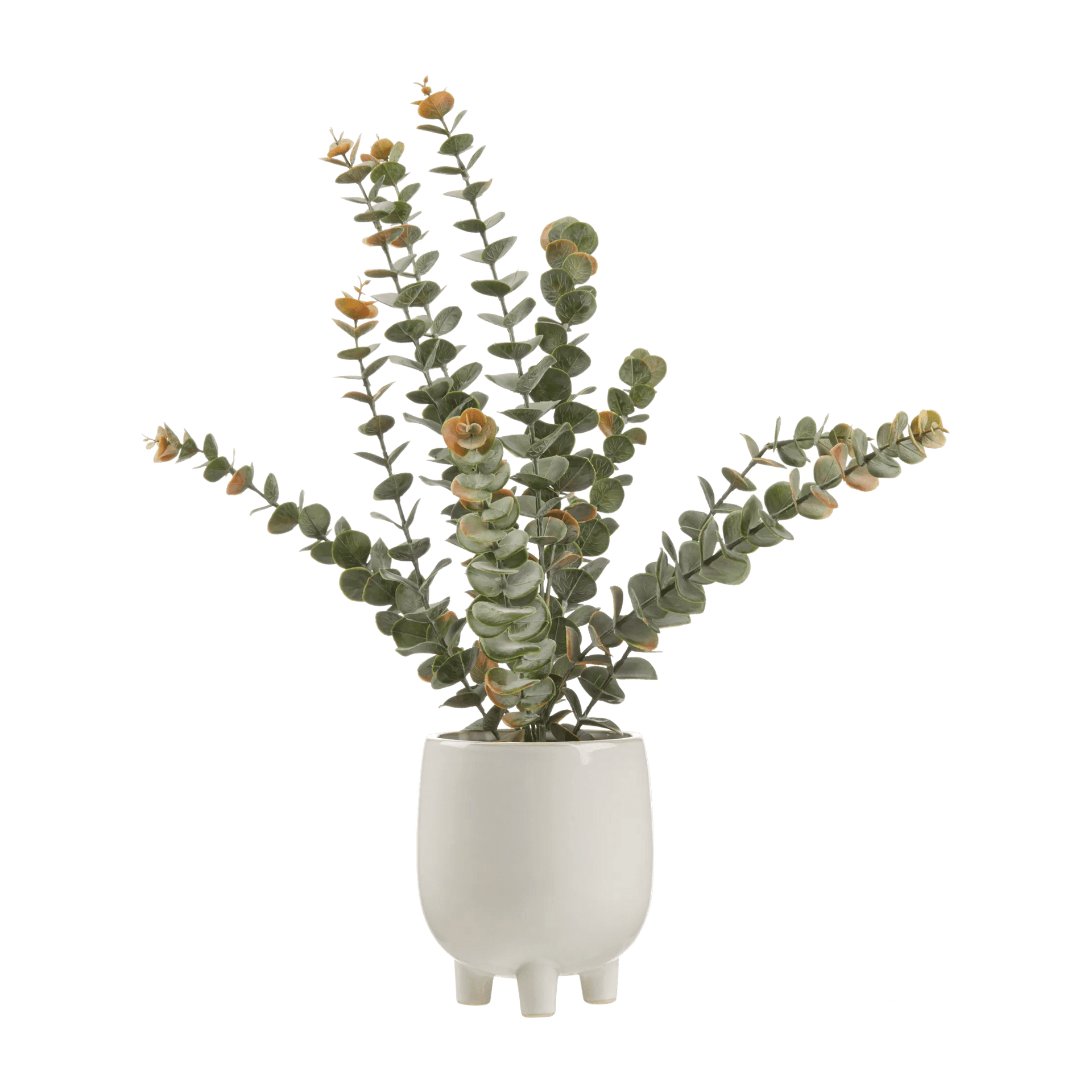 Artificial Eucalyptus in Ceramic Pot