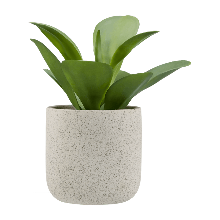 Artificial Plant in Ceramic Pot