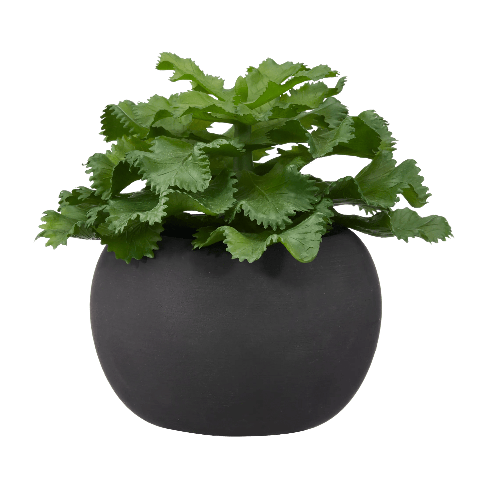 Plante artificielle d'agave