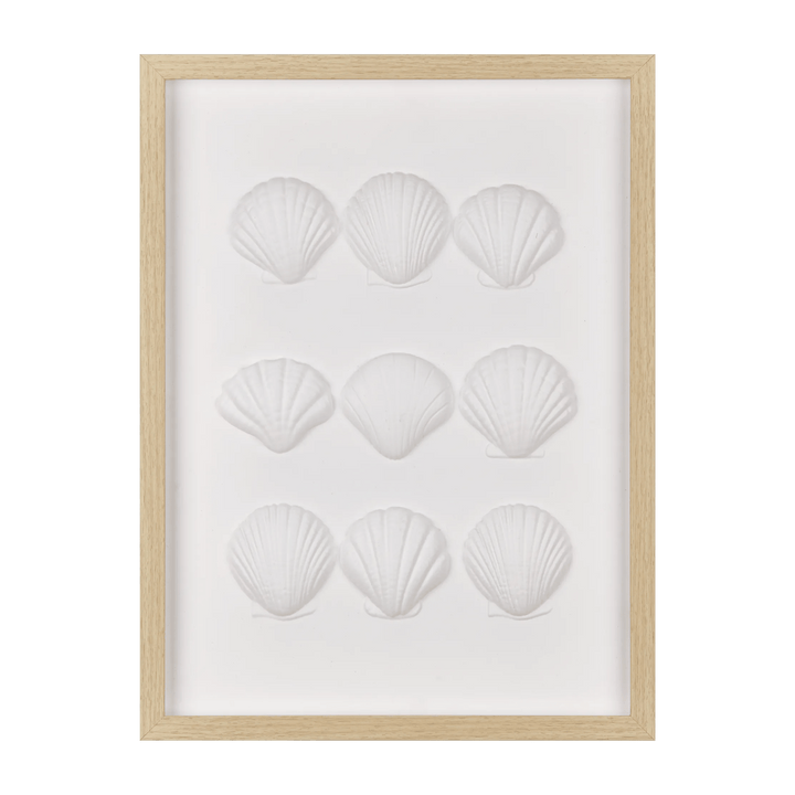 Framed Art 3D Shells
