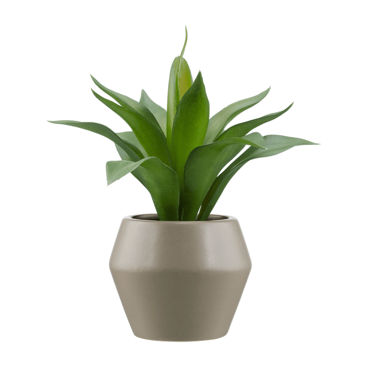 Artificial Plant in a Pot