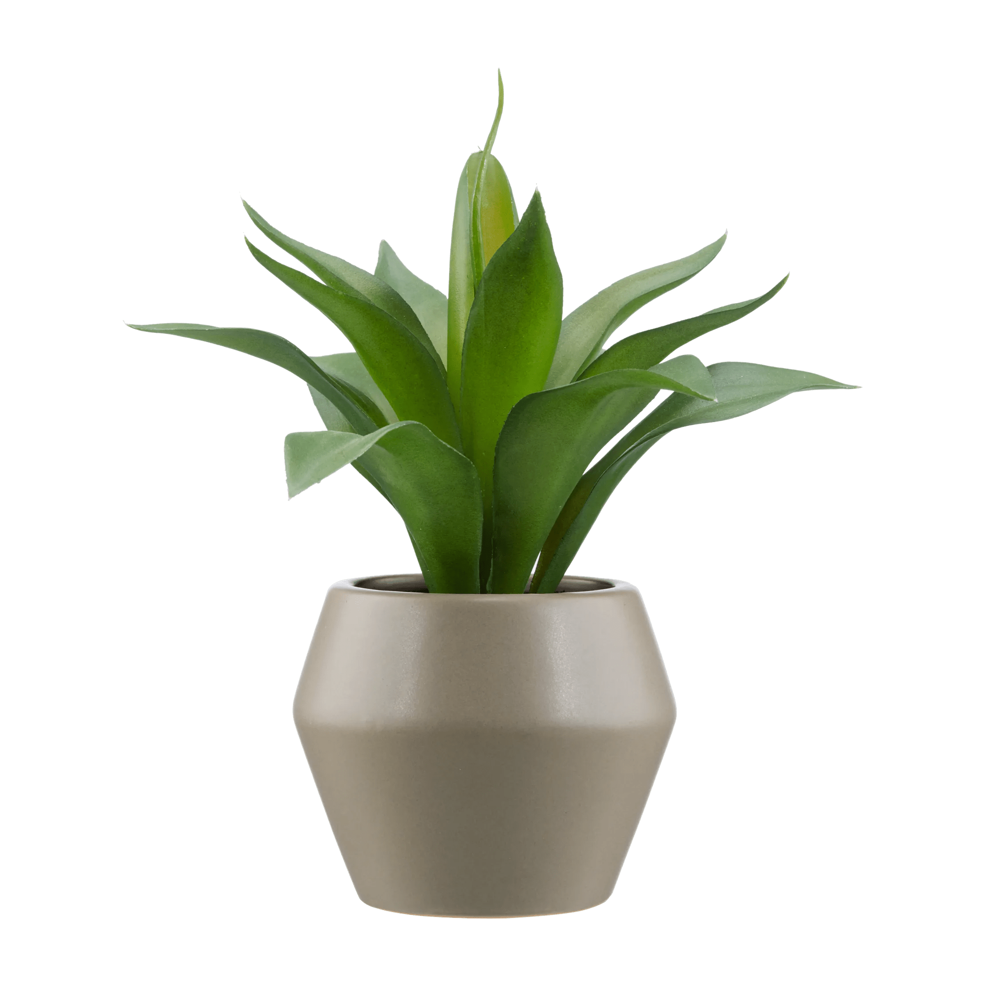 Artificial Plant in a Pot
