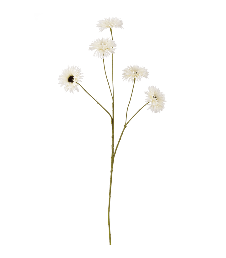 Artificial Daisy