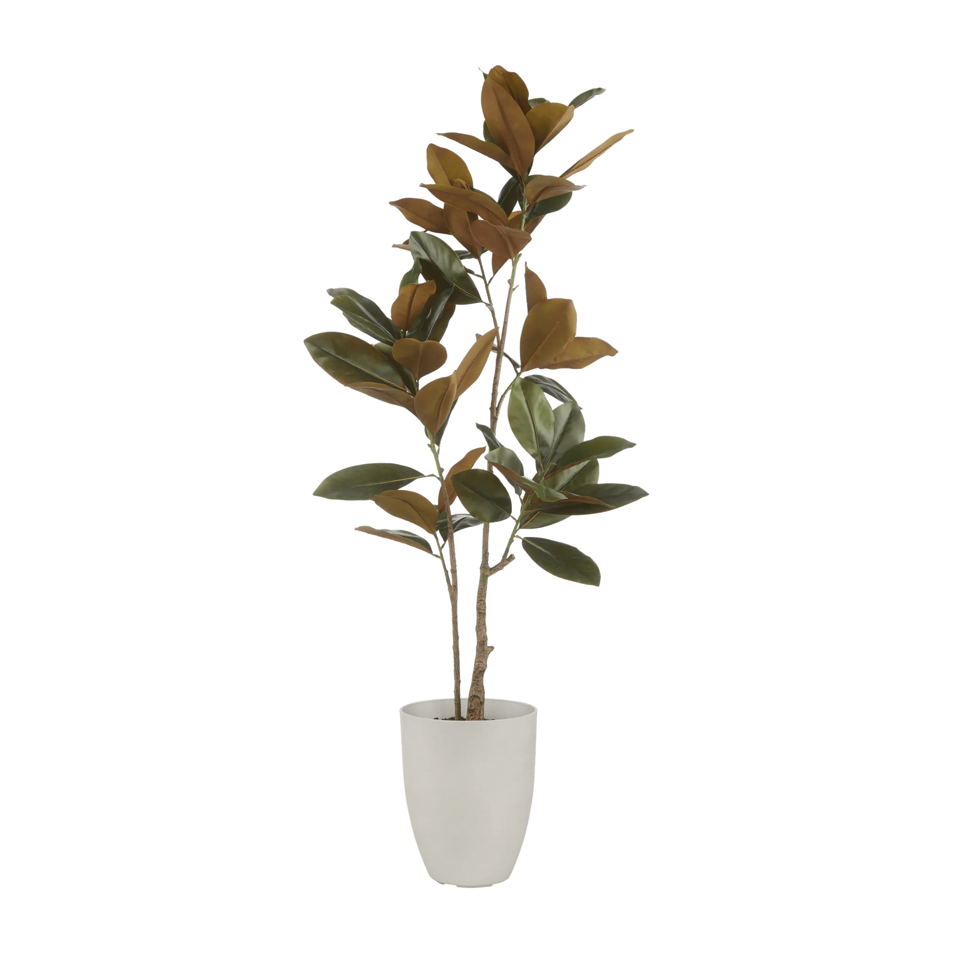 Artificial Ficus Tree
