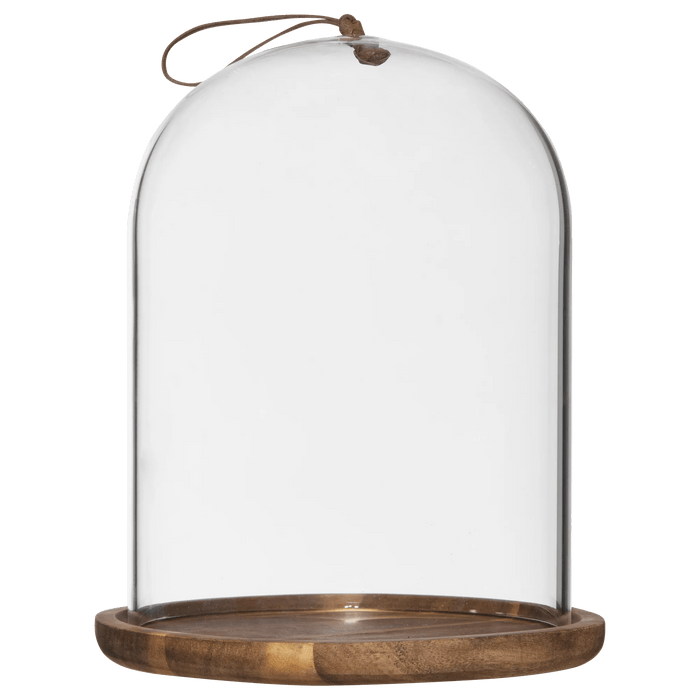 Cloche en verre avec base en bois