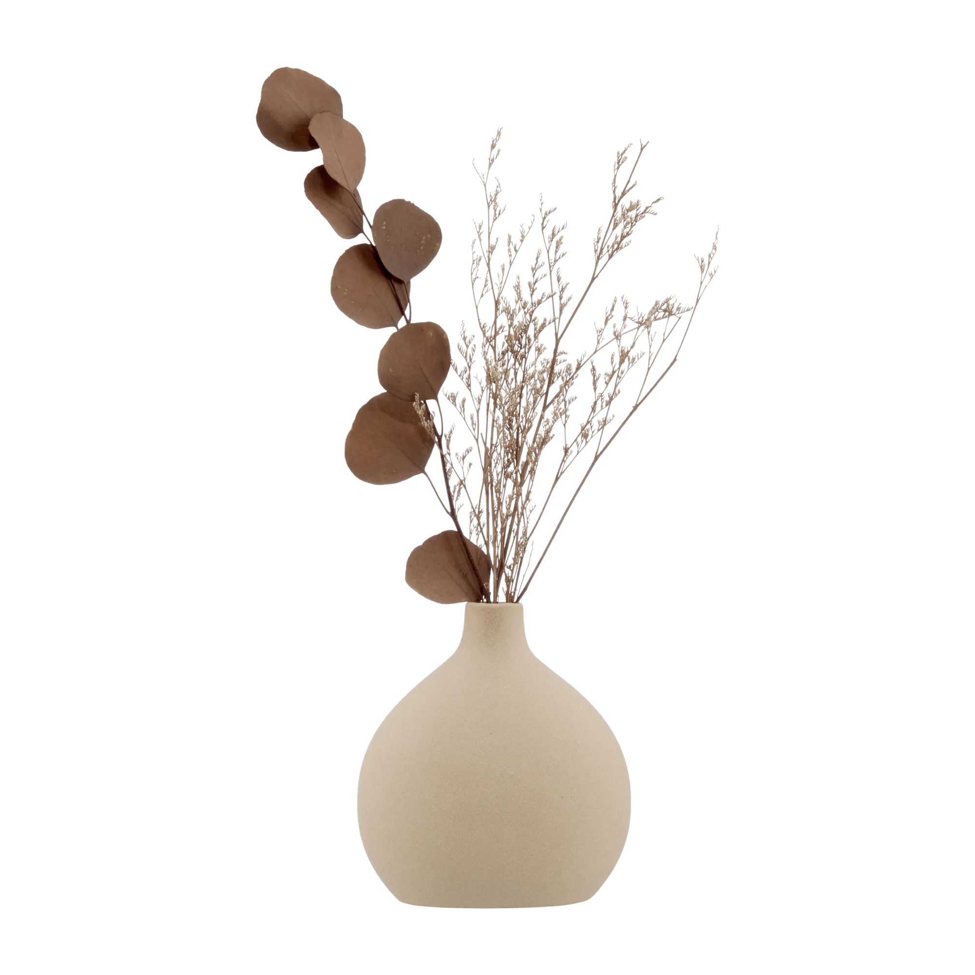 Tige séchée dans un vase
