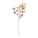 Brun