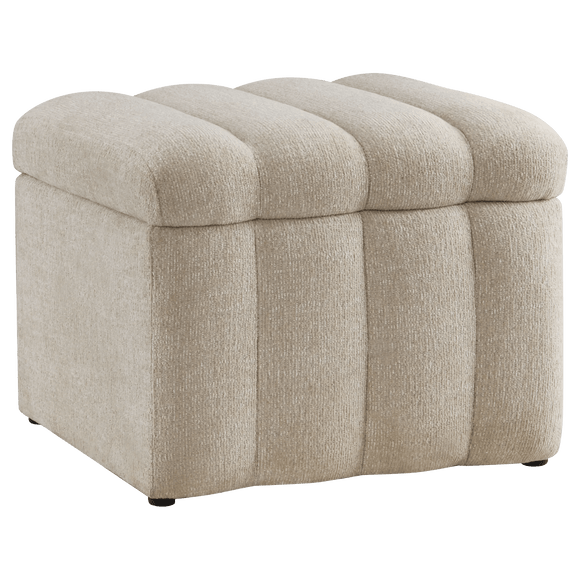 Ottoman with Storage