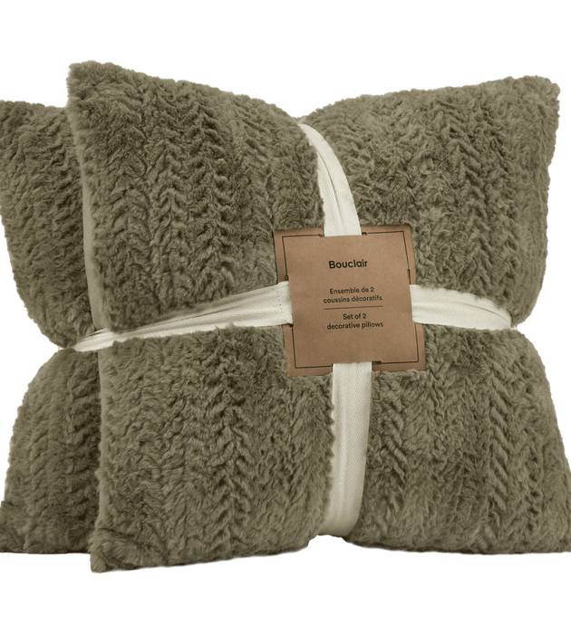 Ensemble de 2 coussins décoratifs Ellyn Sauge