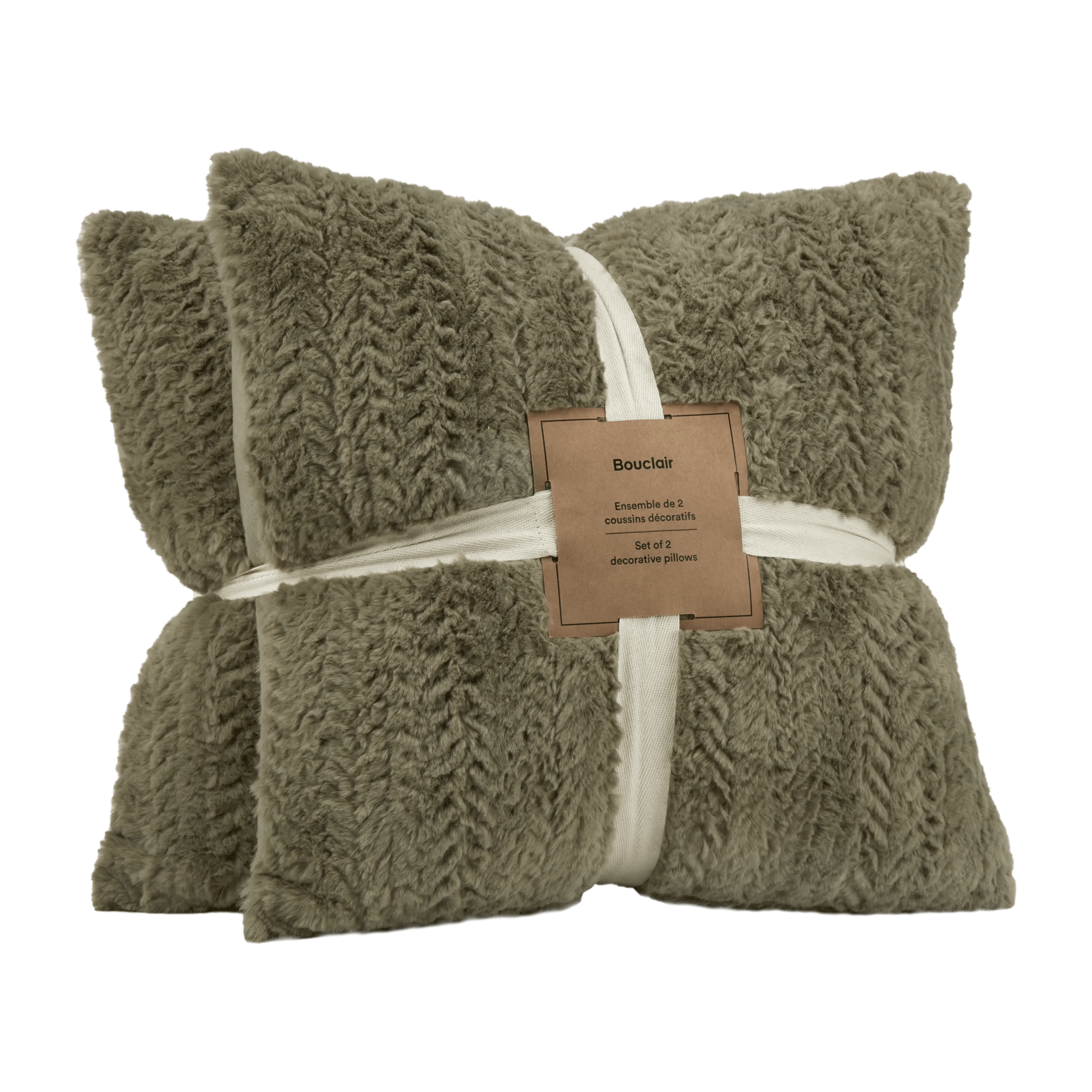 Ensemble de 2 coussins décoratifs Ellyn Sauge