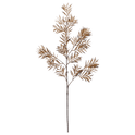 Brown Wild Leaves Stem