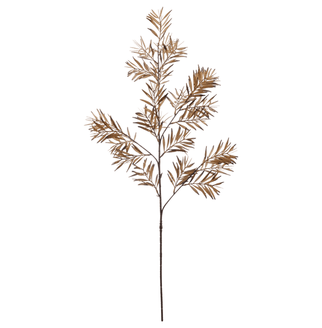 Brown Wild Leaves Stem