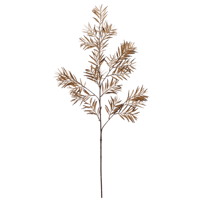 Branche de feuilles sauvages brun