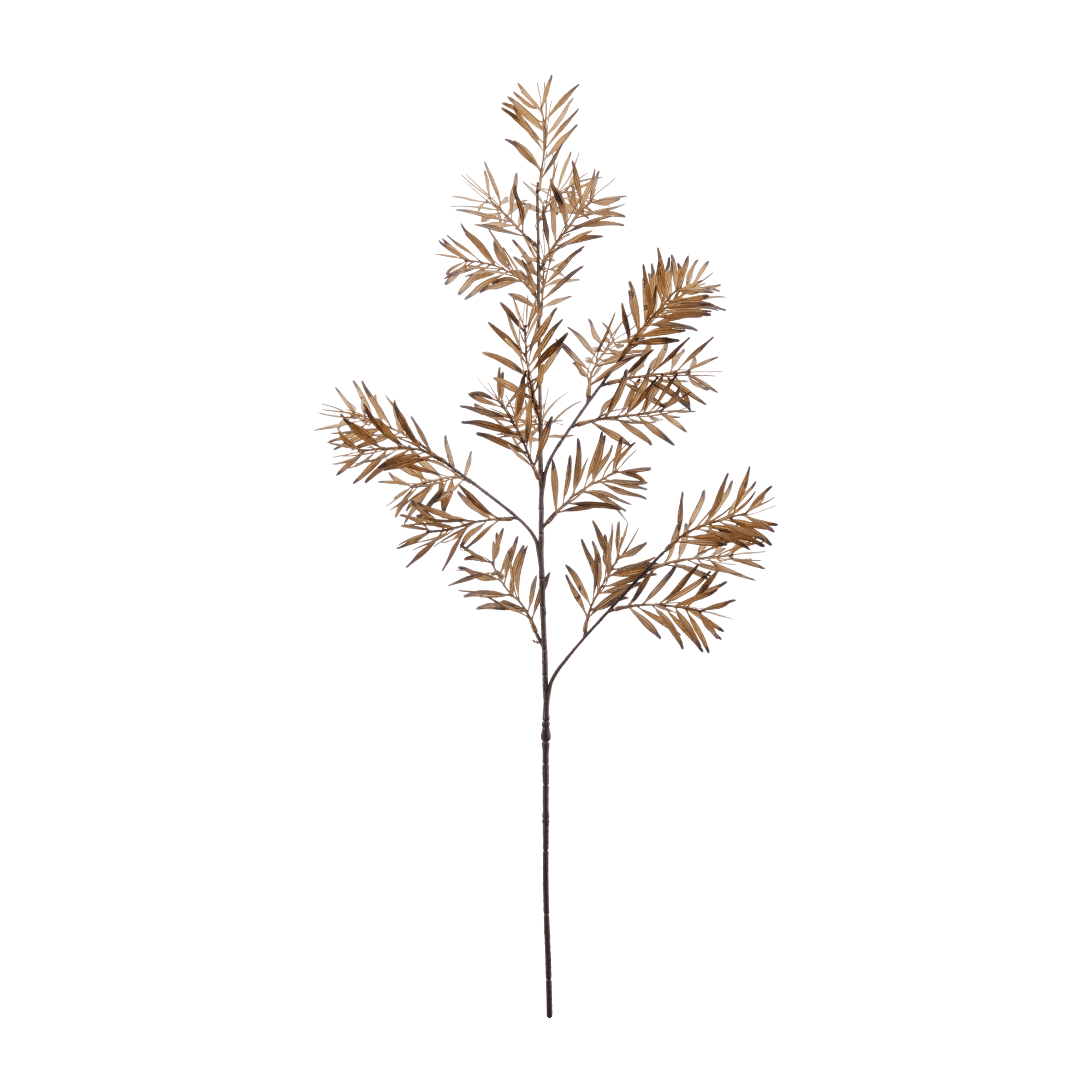 Brown Wild Leaves Stem