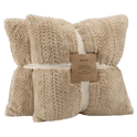 Ensemble de 2 coussins décoratifs Ellyn Beige