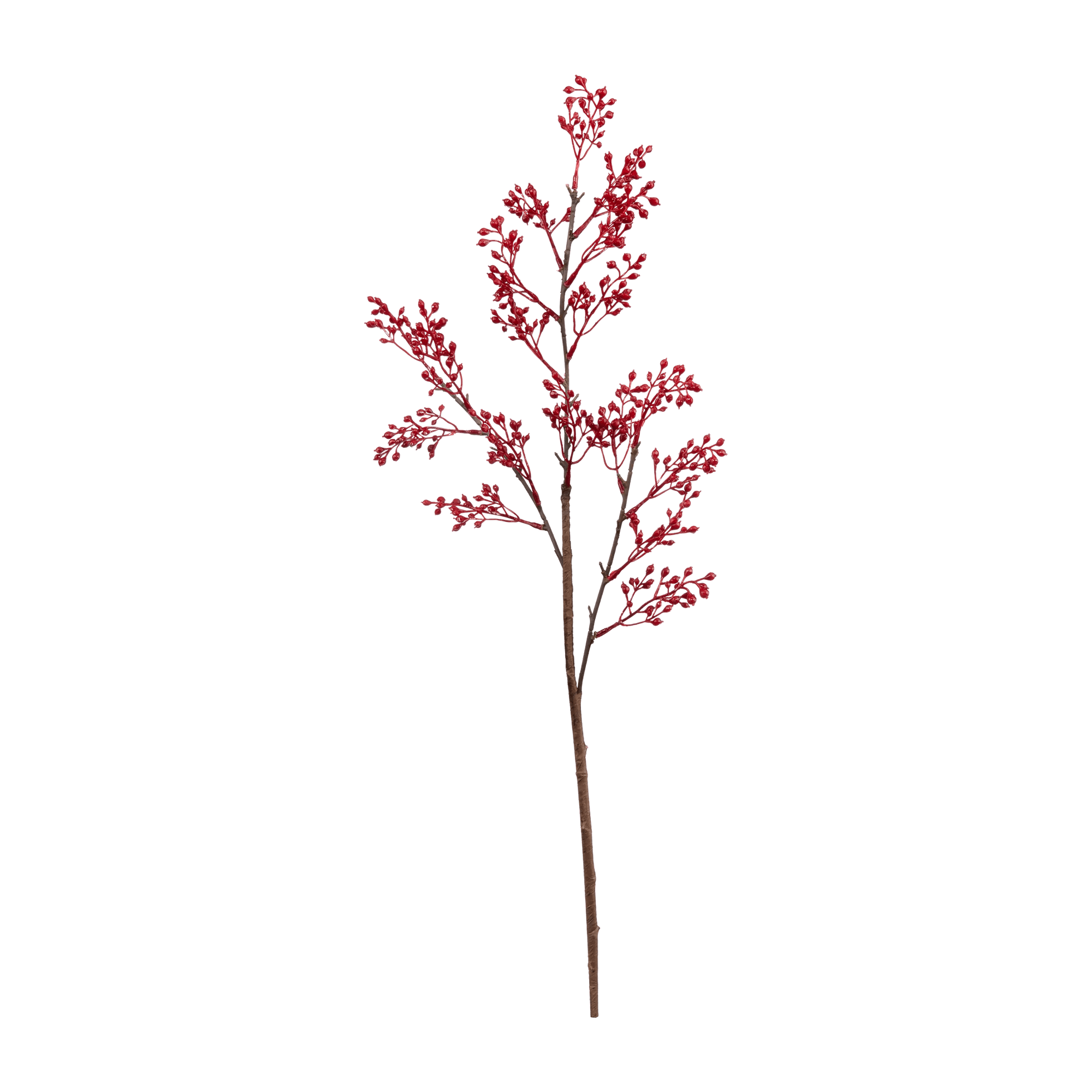Red Beads Stem