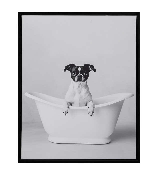 Tableau encadré petit chien dans un bain