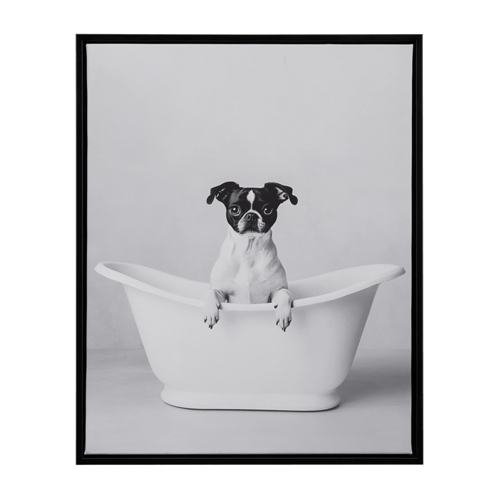 Tableau encadré petit chien dans un bain